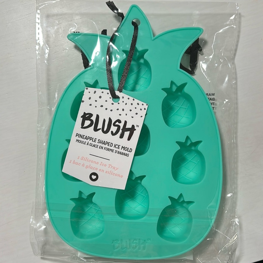 Pineapple silicone ice tray nwt